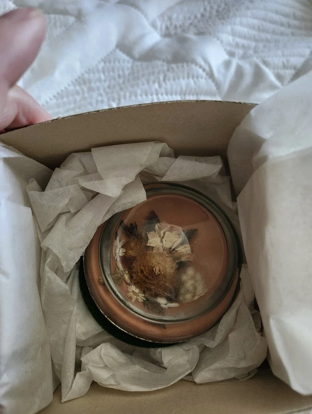 18th Century Preserved Dried Flower Dome Accent Paperweight